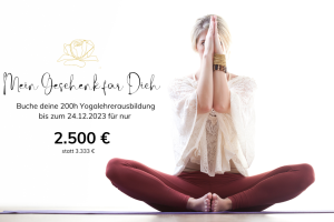 Weihnachtsrabatt-Yogalehrerausbildung-bei-Soul-Roots-in-OHZ