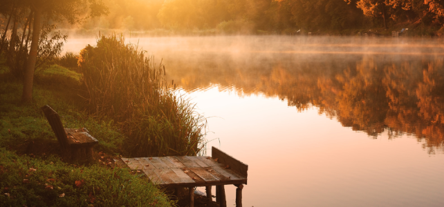 Herbst-Flow-Yoga-Special-bei-Soul-Roots-in-OHZ