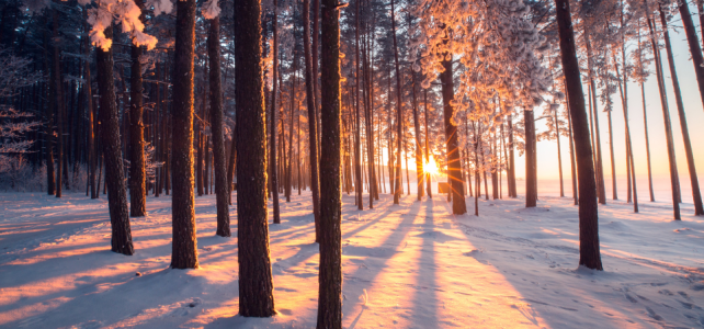 Winter-Flow-Yoga-Special-bei-Soul-Roots-in-OHZ